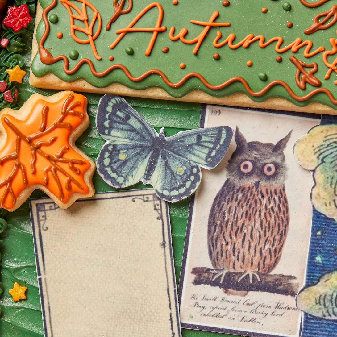 junk journal in chicago